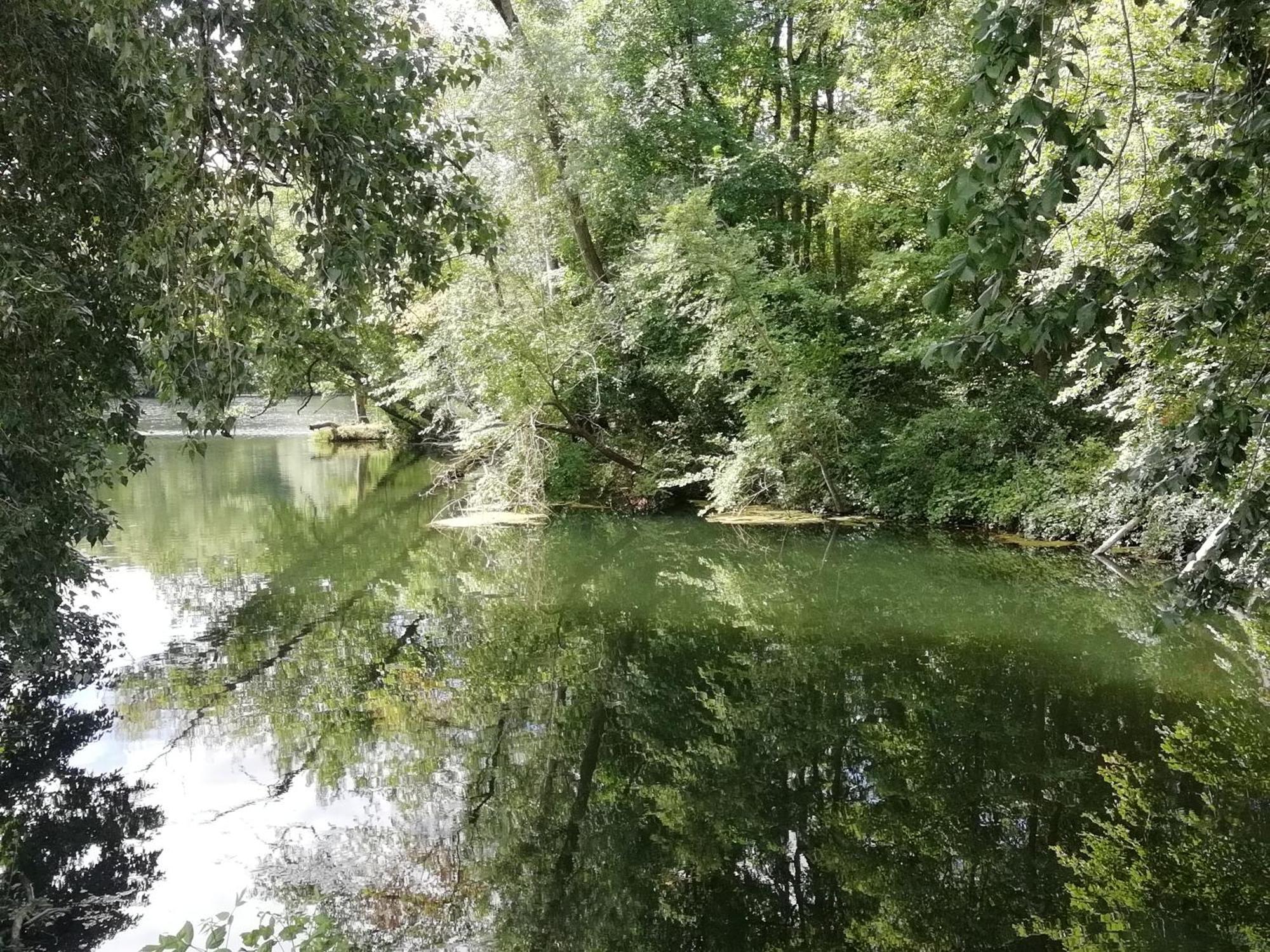 Studio Au Coeur De La Vallee De La Loire Azay-sur-Cher Εξωτερικό φωτογραφία